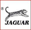 http://www.lookwel.pl/Upload/0Jaguarr.jpg
